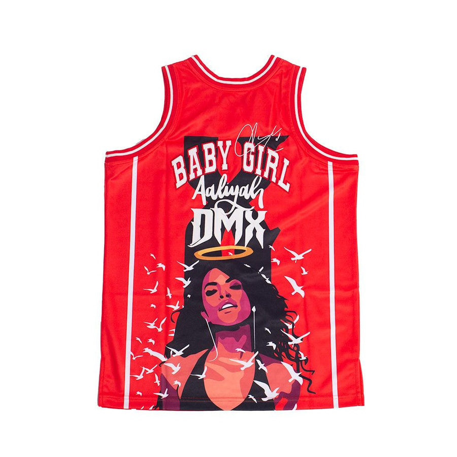 Aaliyah x DMX Jersey